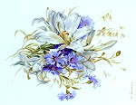 Studie Blumenmalerei weisse Lilie - Petra Kugelmeier