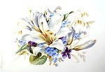Studie Blumenmalerei weisse Lilien - Petra Kugelmeier