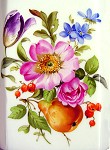 Studie Blumen und Frchtemalerei - Petra Kugelmeier