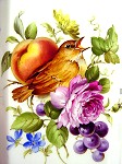 Studie Blumen und Fruechtemalerei - Petra Kugelmeier