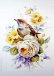 Studie Vogel mit weisser Rose - Petra Kugelmeier