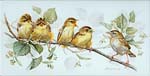 Studie Junge Cistensnger -Vogelmalerei- Porzellanmalerei Petra Kugelmeier