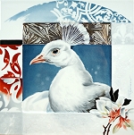 Studie Pfau modern - Petra Kugelmeier