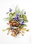 Studie Rotkehlchen mit Veilchen,Vogelmalerei  - Petra Kugelmeier