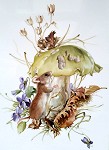 Studie - Maus mit Pilz - Petra Kugelmeier Porzellanmalerei